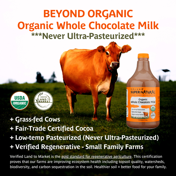 Organic Whole Chocolate Milk