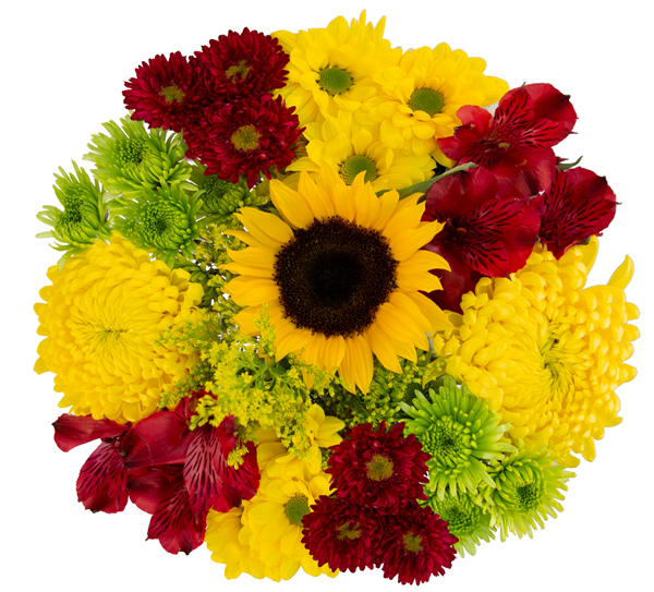 HyVee Aisles Online Grocery Shopping