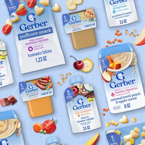 Gerber Stage 2 Baby Food, Turkey Rice Puree Tub, Baby Puree, 16PK | Hy ...