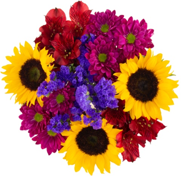 HyVee Aisles Online Grocery Shopping